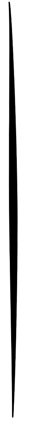 Divider Y
