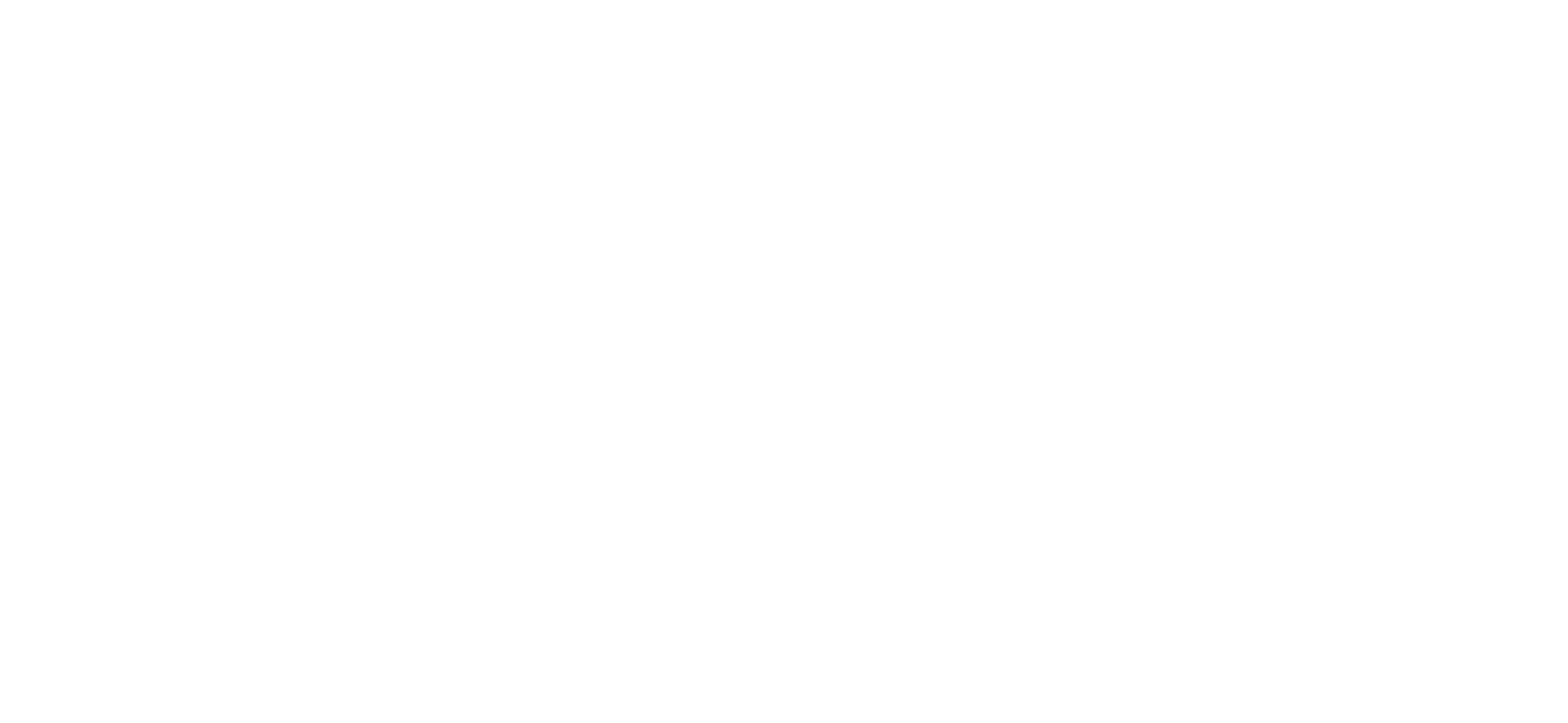 Shamil Services